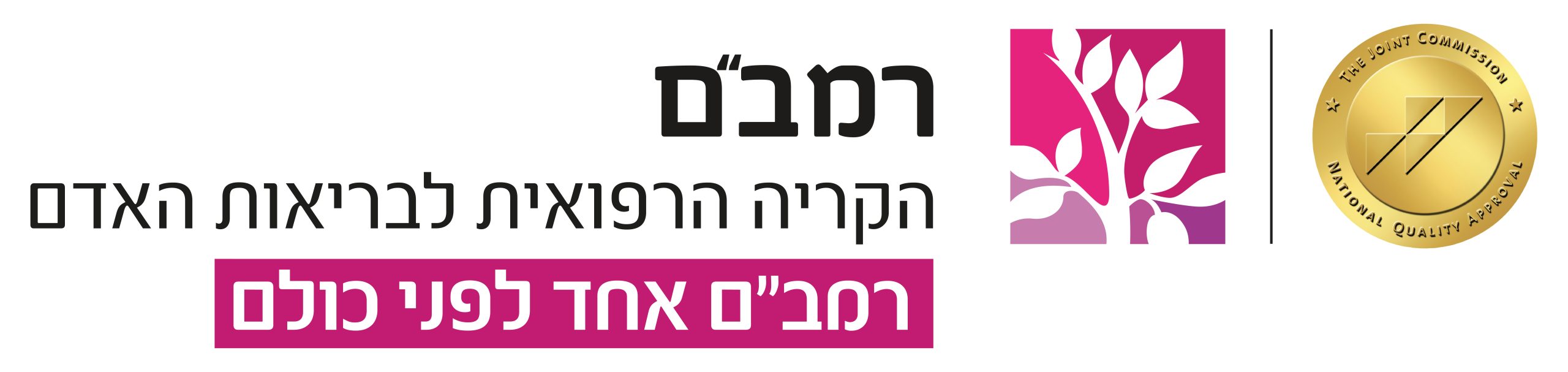 רמב״ם